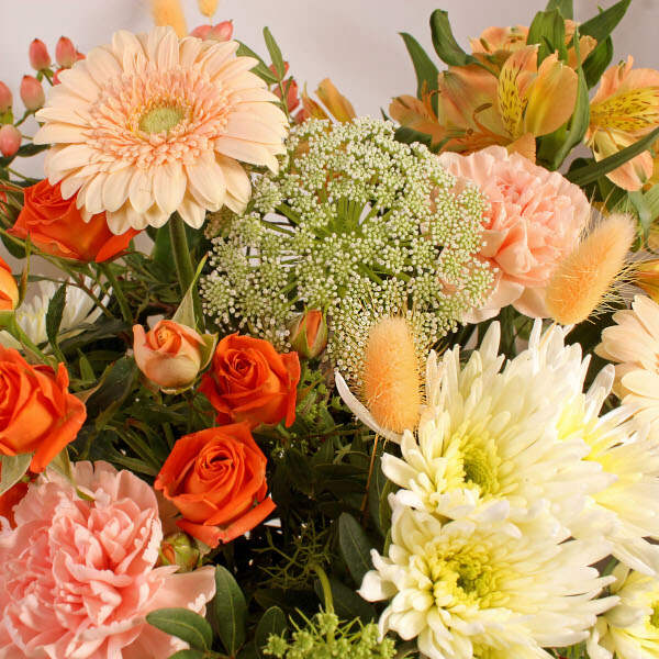 Autumn Lights - Image 4