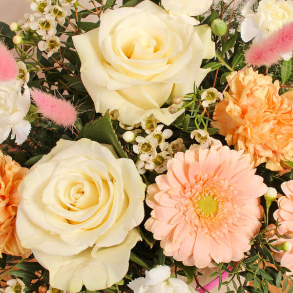 Maeve Hatbox - Image 3