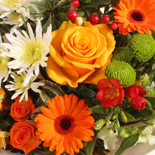 Mango Giftbox - Image 3