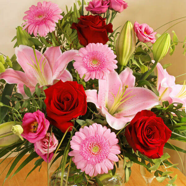 Wild About You - Image 2