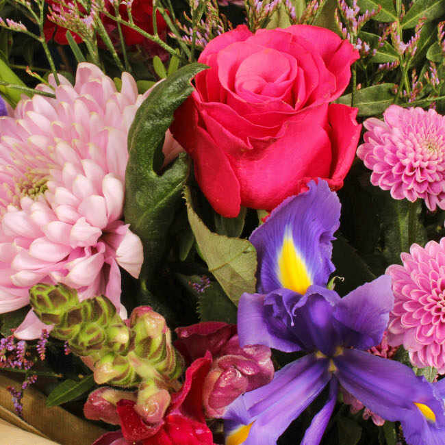 Ziggy Gift Box - Image 2