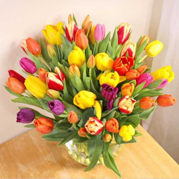 50 Mixed Tulips - Image 2