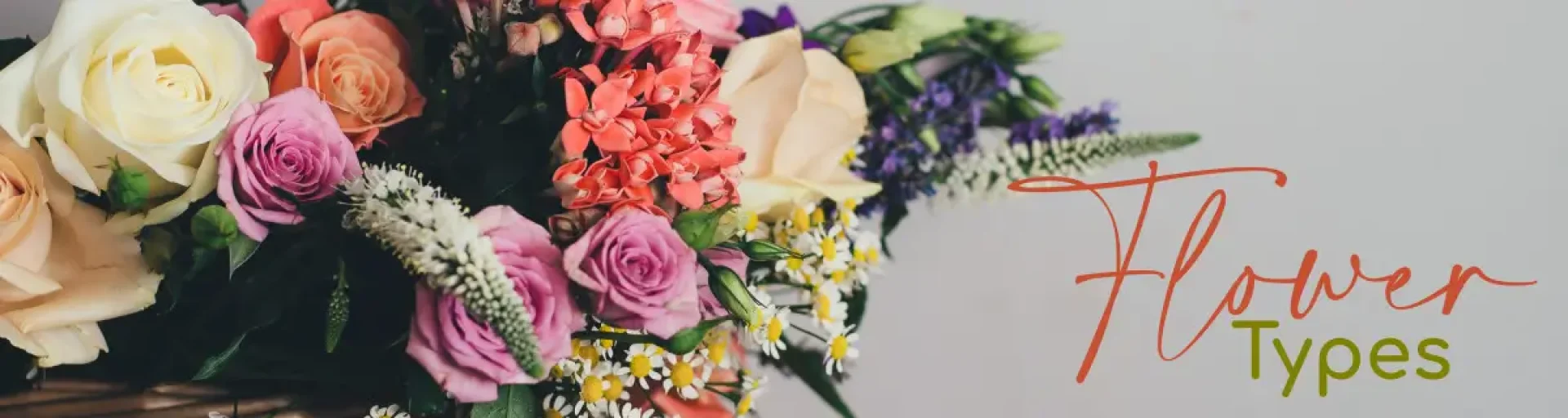 20d9e89f-c287-48b4-bce2-e337fc9f5d8a